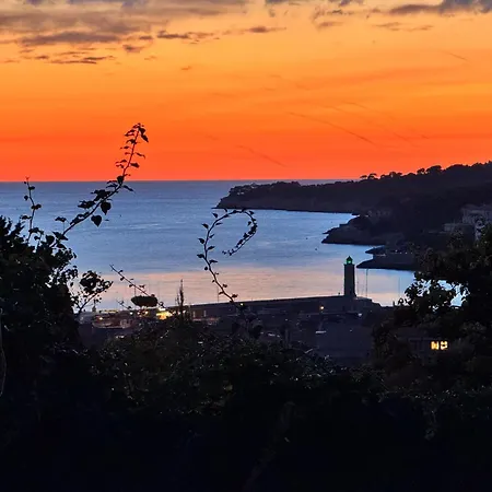 Cassiblue * Cassis
